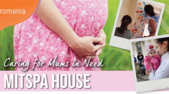 Mitspa House banner.jpg